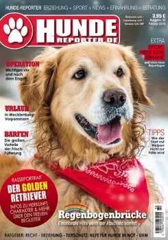 Hunde-Reporter 28