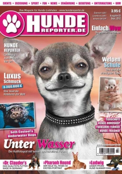 Hunde-Reporter 3