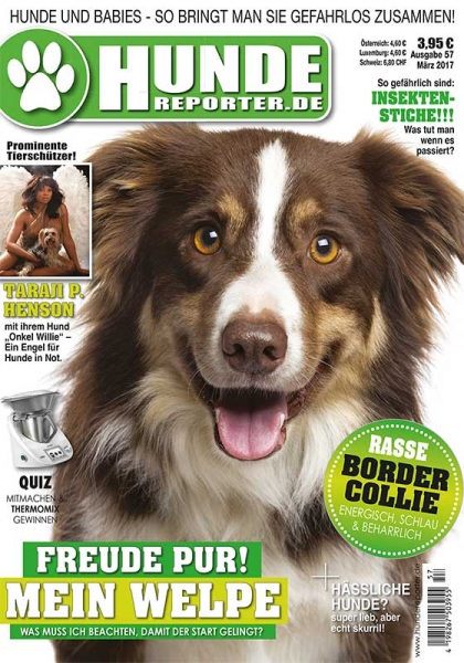 Hunde-Reporter 53
