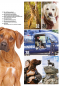 Preview: Inhalt Seite 2