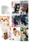Preview: Inhalt Seite 2