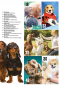 Preview: Inhalt Seite 2