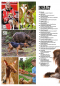 Preview: Inhalt Seite 1