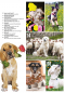 Preview: Inhalt Seite 2
