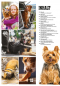 Preview: Inhalt Seite 1
