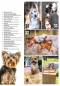 Preview: Inhalt Seite 2