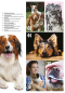 Preview: Inhalt Seite 2