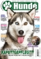 Preview: Hunde-Reporter 85