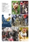 Preview: Hunde-Reporter - Ausgabe 69 - März 2018