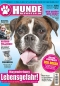Preview: Hunde-Reporter 53