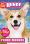 Preview: Hunde-Reporter 49