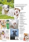 Preview: Hunde-Reporter - Ausgabe 46 - April 2016