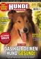 Preview: Hunde-Reporter 42