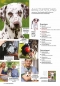 Preview: Inhalt Seite 1