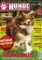 Preview: Hunde-Reporter 33