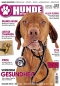 Preview: Hunde-Reporter 21