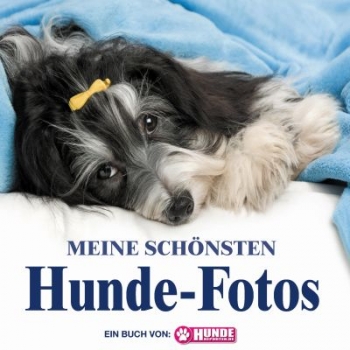 Meine schönsten Hunde-Fotos