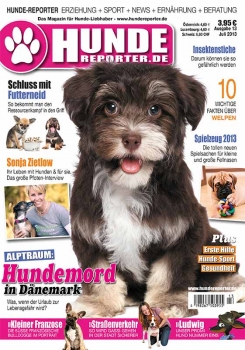 Hunde-Reporter - Ausgabe 13