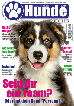 Hunde-Reporter 107