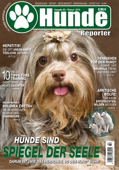 Hunde-Reporter 80