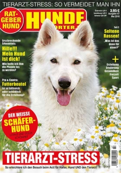 Hunde-Reporter 47
