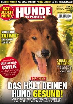 Hunde-Reporter - Ausgabe 42