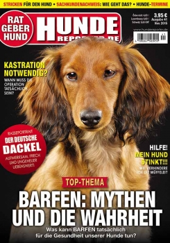 Hunde-Reporter 41