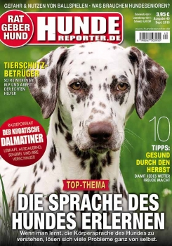 Hunde-Reporter 33