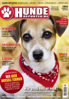 Hunde-Reporter 33