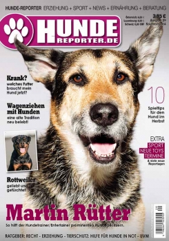Hunde-Reporter 28