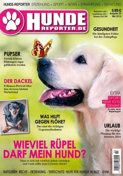 Hunde-Reporter 22