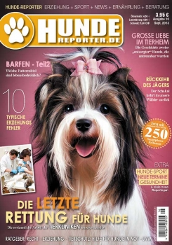 Hunde-Reporter 16