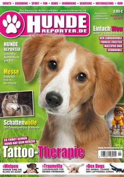 Hunde-Reporter 1