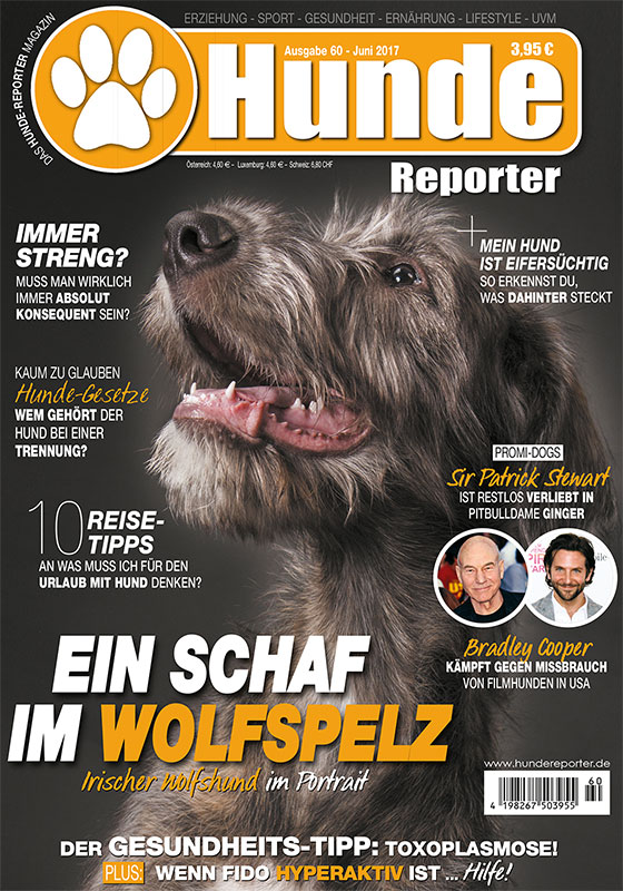 Shop - Hunde-Reporter - Ausgabe 60 - Juni