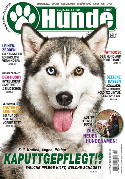 Hunde-Reporter 85