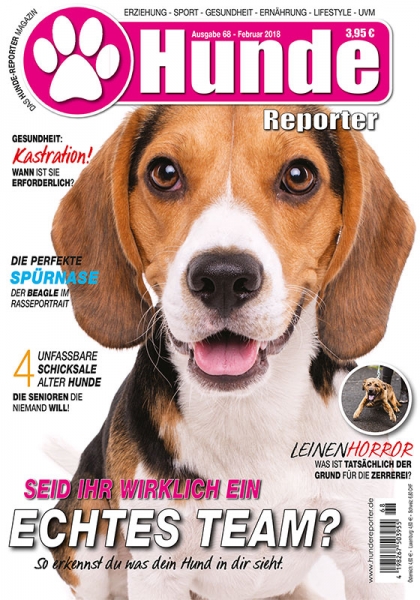 Hunde-Reporter 68