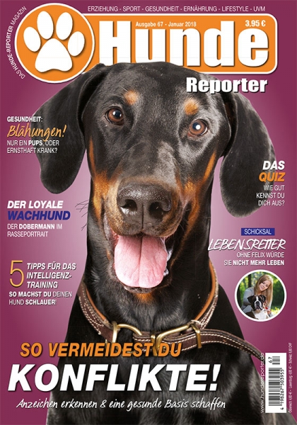 Hunde-Reporter 67