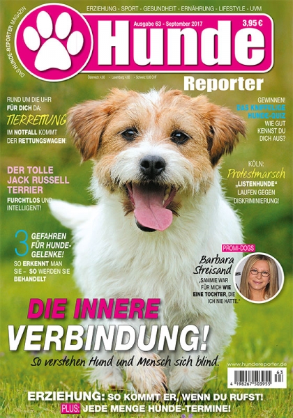 Hunde-Reporter 63