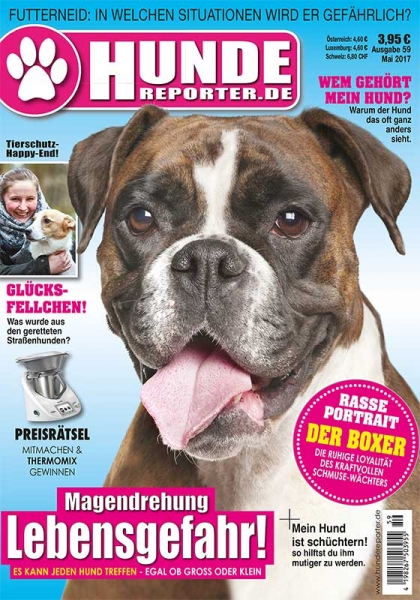 Hunde-Reporter 53