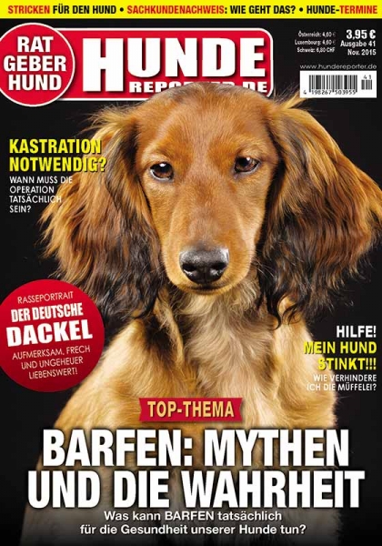 Hunde-Reporter 41