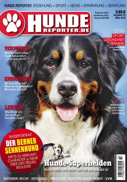 Hunde-Reporter 33