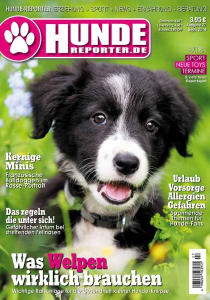 Hunde-Reporter 27