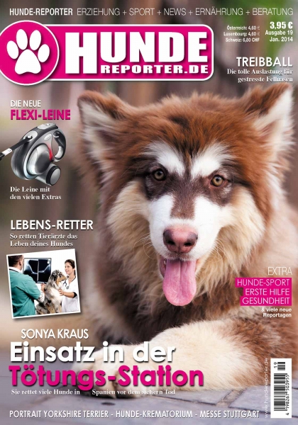 Hunde-Reporter 19