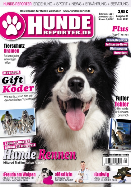 Hunde-Reporter 8
